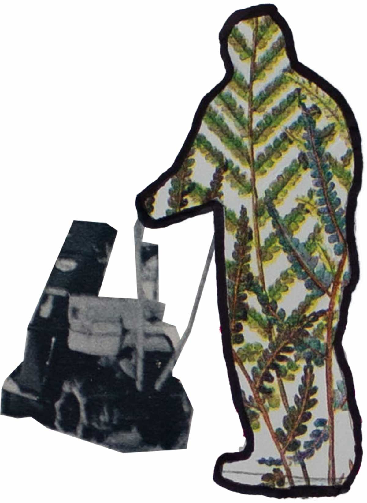 gardener